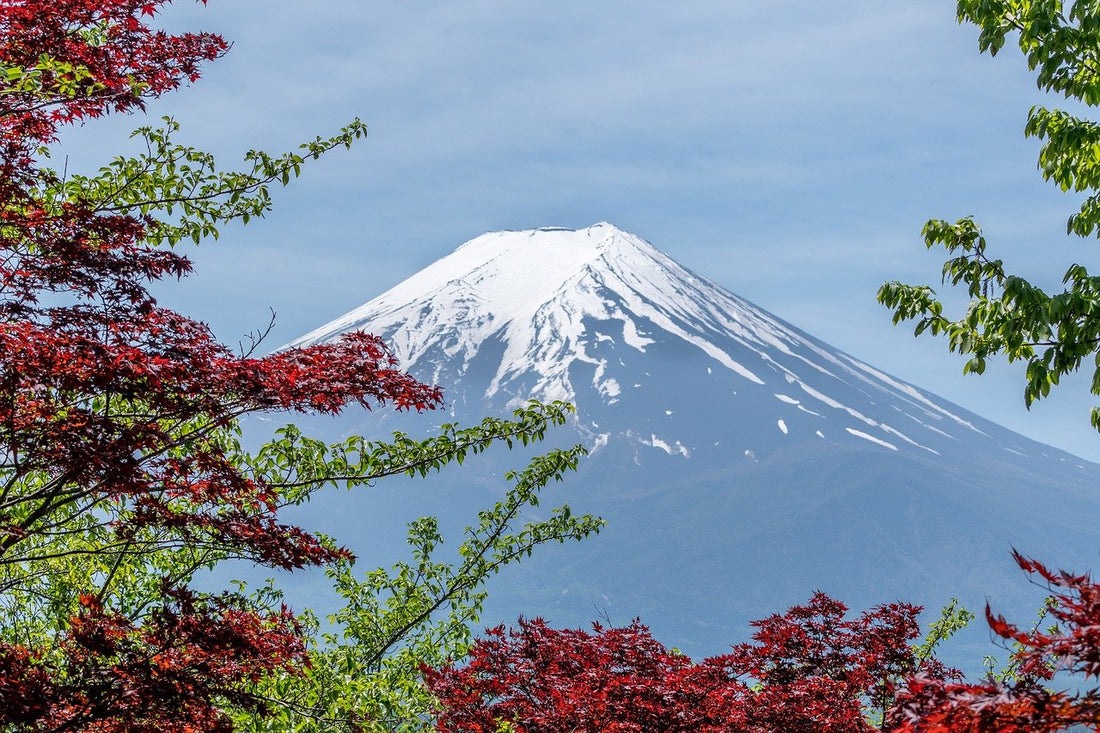 Mountain Day I J-Life International