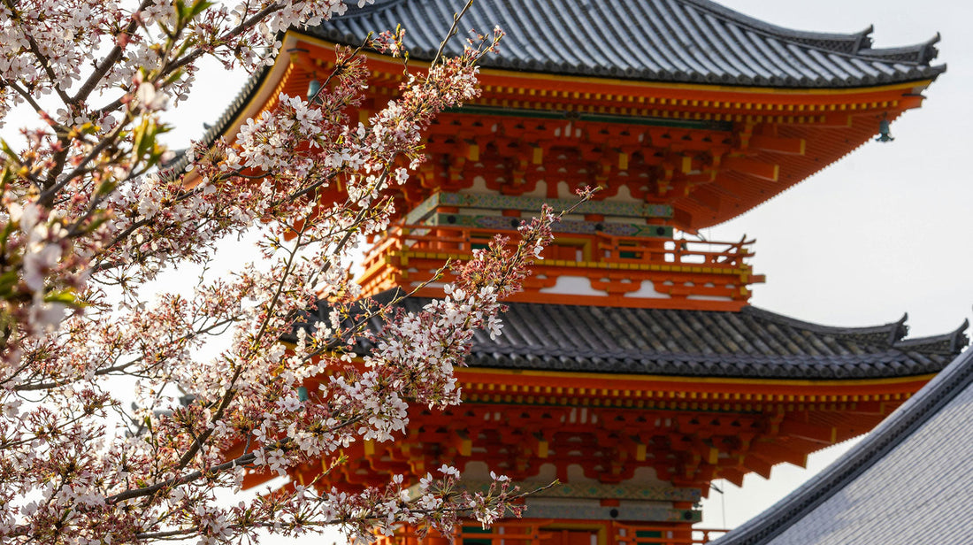 Spring Equinox (Shunbun no Hi)