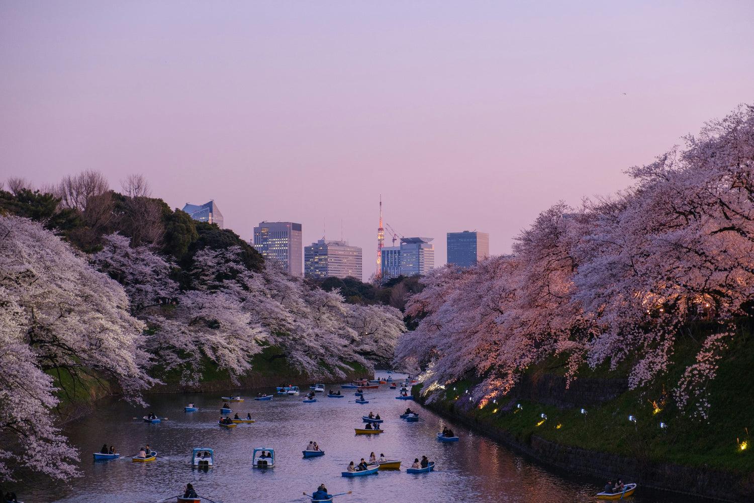 Japanese Bedding & Decor for Spring