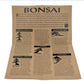 Grow Your Own Bonsai Tree Kit