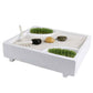 DIY Mini Japanese Zen Garden Kit