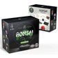 Mini Bonsai Starter Kit - Set of 4
