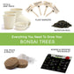Mini Bonsai Starter Kit - Set of 4
