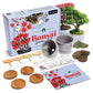 Deluxe Mini Bonsai Starter Kit - Set of 4