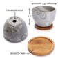 Deluxe Mini Bonsai Starter Kit - Set of 4