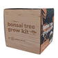 Easy Mini Bonsai Tree Seed Kit