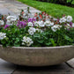 Large Bowl Planter