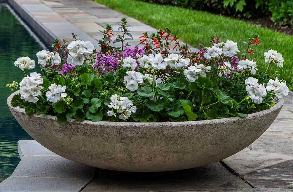 Large Bowl Planter